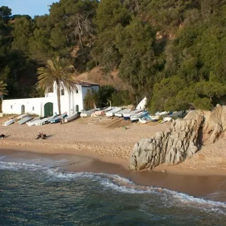 Loft Kiwi Villa Lloret de Mar