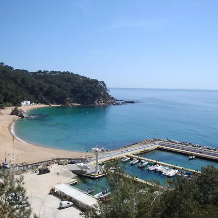 Loft Kiwi Lloret de Mar