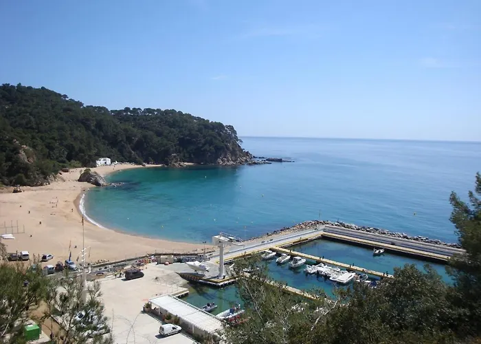 Loft Kiwi Lloret de Mar